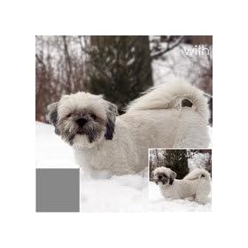 Cokin Z-Pro Series Grey Neutral Density Filter ND8X (0.9) - 4x4/100x100mm