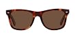 Classic Tortoise Wayfarer Style Sunglasses