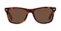 Classic Tortoise Wayfarer Style Sunglasses