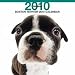 2010ǯ���� THE DOG �������� �ܥ��ȥ󡦥ƥꥢ 