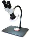 Bend-E 5x/10x scope with Inspection Lens, Fluorescent Ringlight and Table Base