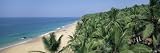 Coconut Palms and Beach, Kovalam, Kerala State, India, Asia Photographic Poster Print