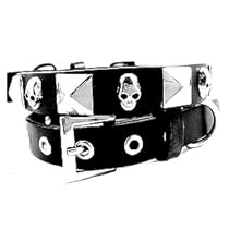 "Punk Star" Pyramid Studs Dog Collar - Demon Skulls/Black