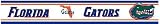 Florida Gators Wall Border 2-pk.