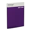 Wallpaper* City Guide New York 2012 (Wallpaper City Guides)