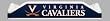 Virginia Cavaliers - Beach Pole Caddy