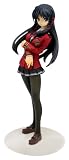 FORTUNE ARTERIAL 
