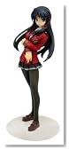 FORTUNE ARTERIAL �g�� �˗t (1�^8�X�P�[��PVC�h���ς݊����i)