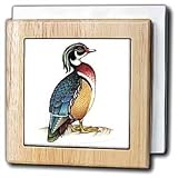 Wooden Duck - 6 Inch Tile Napkin Holder