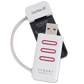 SanDisk Cruzer Profile 1GB USB 2.0 Flash Drive w/Fingerprint Reader (White/Red)