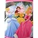 Disney Princess Fleece Throw Blanket : Lovers Lite & Soft