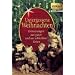 Unvergessene Weihnachten 1: Zeitzeugen-Erinnerungen aus heiteren und aus schweren Zeiten