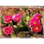 Desert in Bloom 2009 Wall Calendar