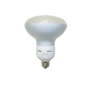MaxLite SKR423FLWW Floodmax R 40 (125-Watt Incandescent) Equilavent Energy Star Quailfied by Maxlite