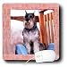 schnauzer17  - Dogs Schnauzer Schnauzer Mouse Pads