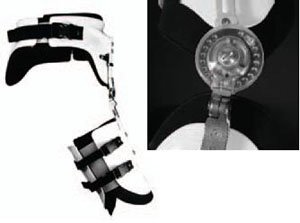 Universal Hip Orthosis, Universal Pelvic Component, Size: M; Waist Circumference: 28-35'' /