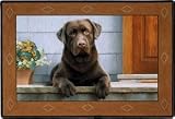 Labrador Retriever (Chocolate) on Porch Doormat
