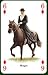 Horses & Ponies Playing Cards