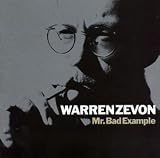 Mr Bad Example