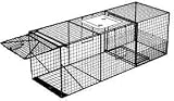 Raccoon Live Trap