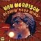 The Best of Van Morrison