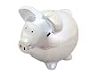 Wanted Money Bank Ceramic Bling Silver