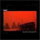 Say Hello to the Angels by  Interpol 