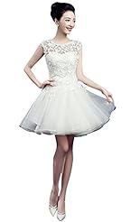 Short Lace Organza/Satin Evening Dress/Prom Dress/Mini Dress 