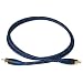 Audioquest VDM-1 Composite Video Cable - 3.3ft (1M)