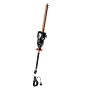 Remington RM3017HP 17-Inch 3 Amp Axcess Extended Reach Electric Hedge Trimmer