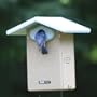 Birds Choice Recycled Ultimate Bluebird House w/Camera