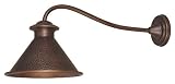 World Imports 9004-86 Dark Sky Essen 12-Inch Single Light Long Arm Outdoor Wall Sconce, Antique Copper