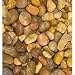 Pet Supplies : Estes' Natural Aggregate Shallow Creek Pebbles (5-lb bag)