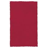 Mohawk Home Shag Rug - Crimson