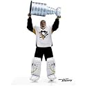 McFarlane Toys NHL Sports Picks Series 23 2009 Wave 3 Action Figure MarcAndre Fleury (Pittsburgh Penguins)