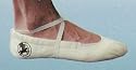 Pegasus Gemini Beam Shoe