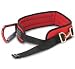 CMC ProSeries Survivor Ladder/Escape Belt - CMC Rescue, rescue harness