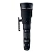�V�O�} 300-800mm F5.6 APO  EX DG HSM �L���m���p