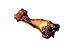 12-14 Dino Bone