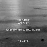 Traits