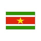 Suriname Flag Rectangular Magnet
