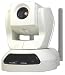 Wireless Dual Codec Network Camera - Pan and Tilt with 10x Optical Zoom and 2 Way Audio