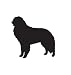 Working Dog Pet Kuvasz Car Truck Vehicle Bumper Helmet Decal Sticker Wall Art Laptop Design Skin Stickers