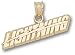 Tampa Bay Lightning Charm/Pendant -14K/10K, Stainless Steel or Gold Plated