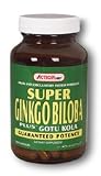Action Labs Action Super Ginkgo Biloba 100 Caps