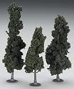 Value Trees, Conifer 4-6" (24)