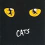 Cats Ocr