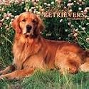 Golden Retrievers 2007 Wall Calendar