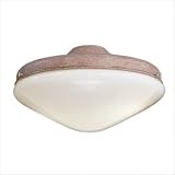 31WVVhGRqxL. SL160  Two Lamp Outdoor Universal Ceiling Fan Light Kit in Ancient Stone