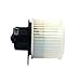 TYC 700173 Saturn L Series Replacement Blower Assembly